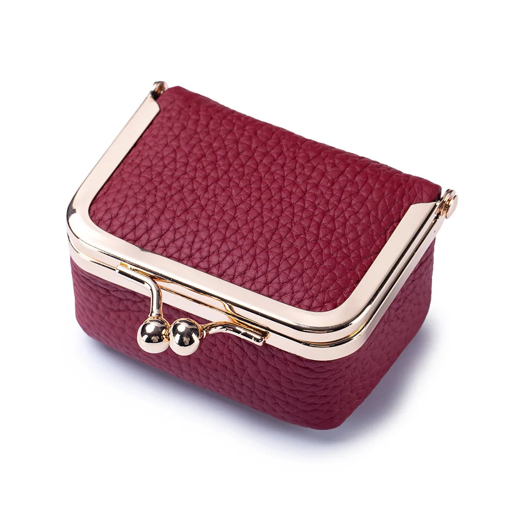 Mini Leather Coin Purse With Gold Clasp For Women Jewelry And Earphone Pouch