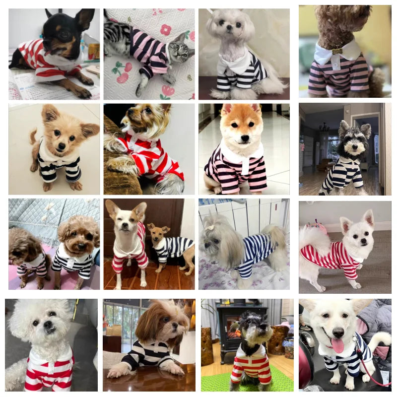 Summer Polo Shirt For Dogs Stripe Style Sweatshirt Cooling Vest