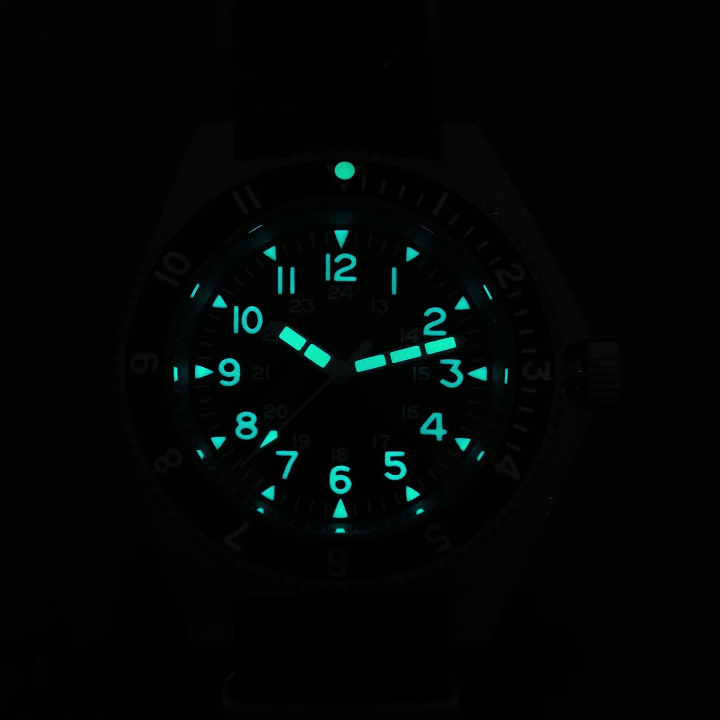 Watchdives WD1972 Quartz Watch Sapphire Crystal BGW9 Luminous