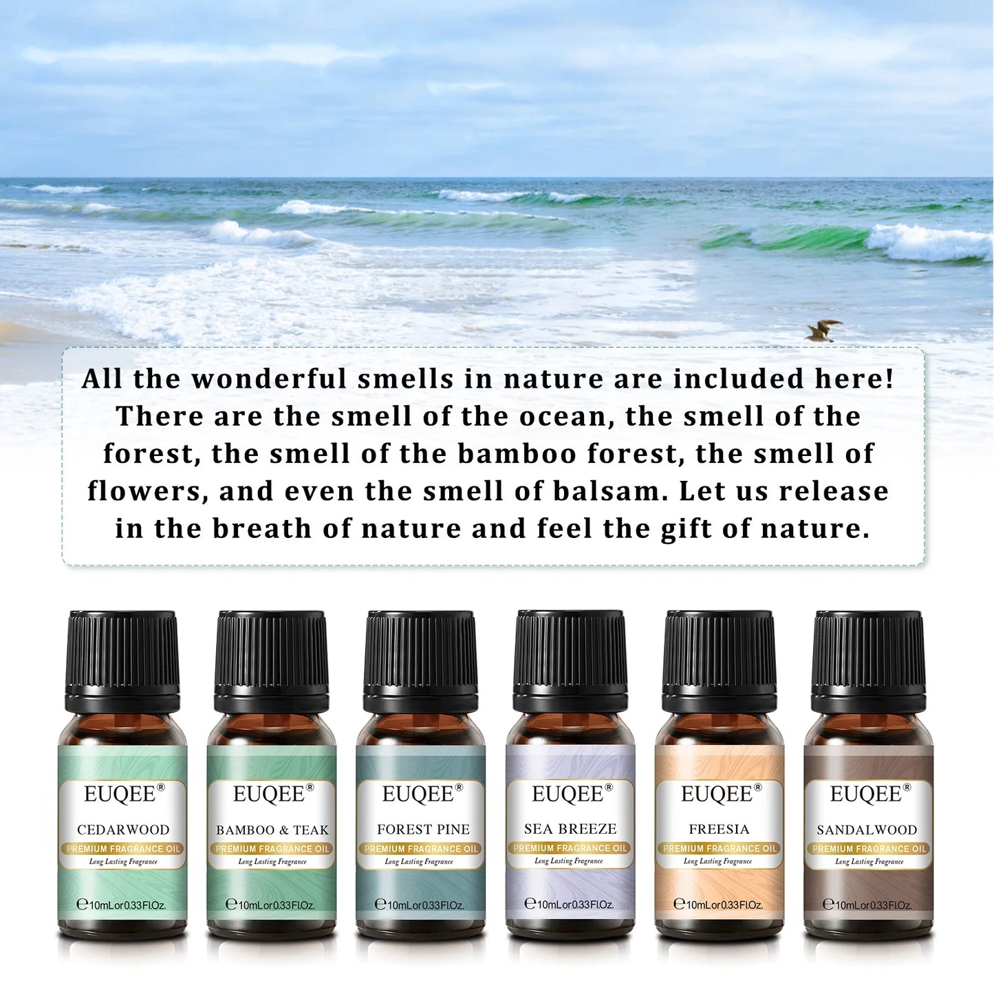 EUQEE 6 Bottle Fragrance Oils Gift Set For Soap Candle Making -10ml Freesia,Sea Breeze,Sandalwood,Cedarwood,Bamboo & Teak,Forest Pine Aroma Oil