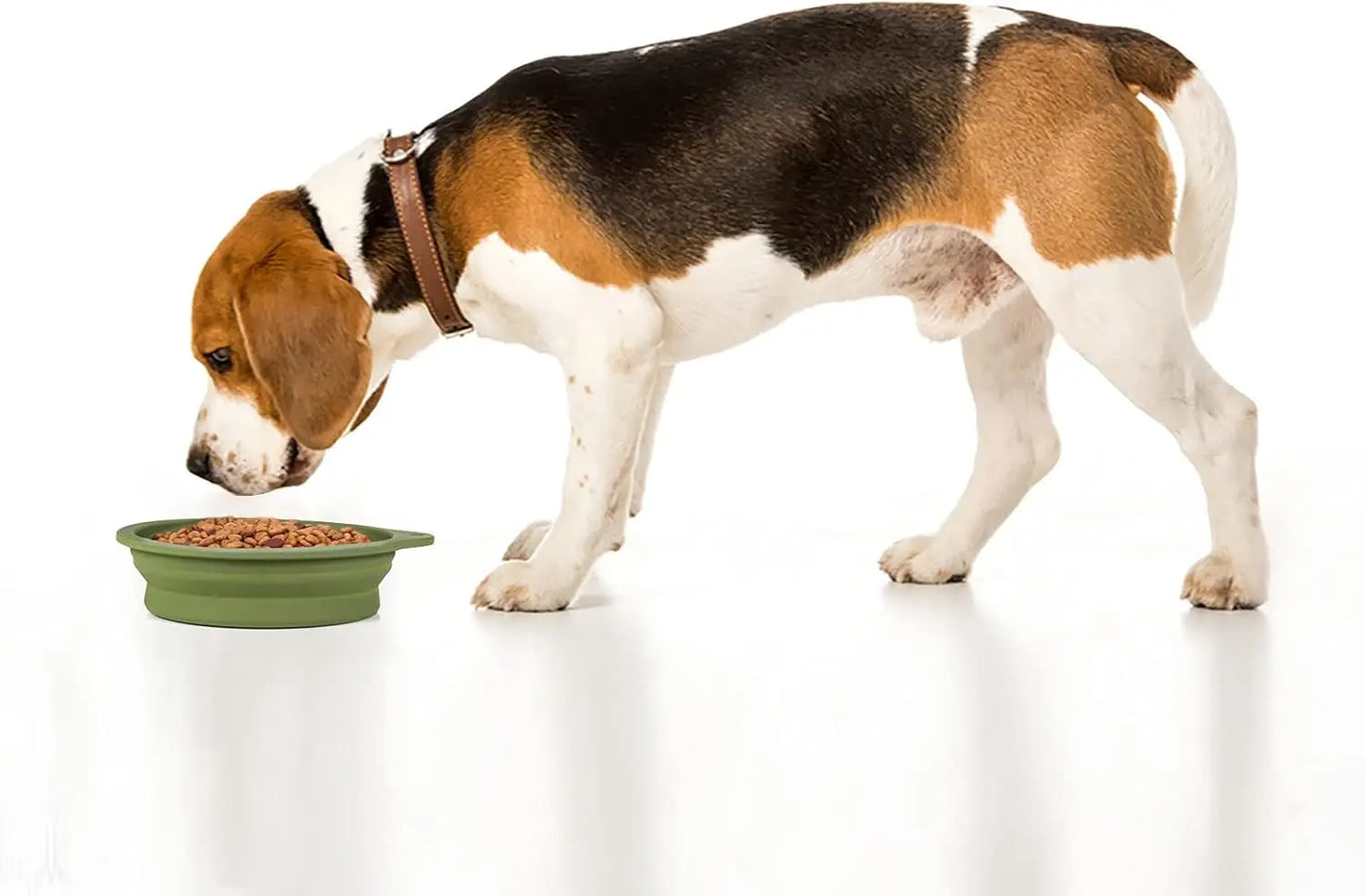Two Pack 600ml Collapsible Dog Bowls No Rim Portable Travel