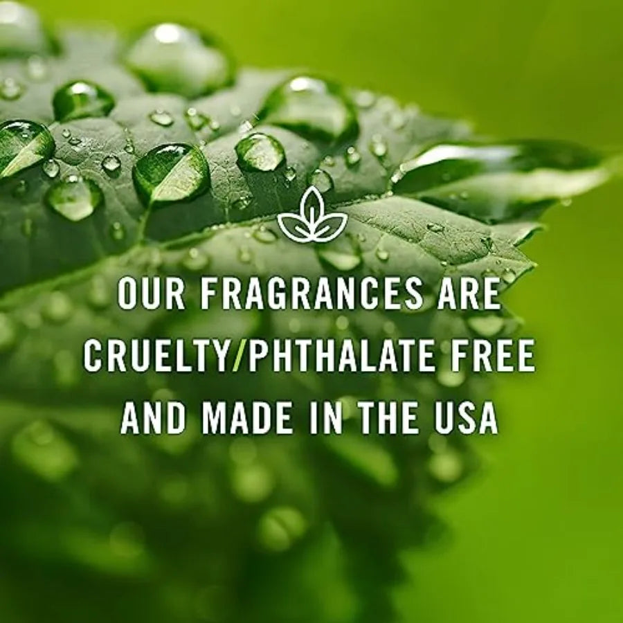 PandJ Trading Fragrance Oil Set Candle Scents for Candle Making Freshie Scents Soap Making Supplies Diffuser Oil Scents
