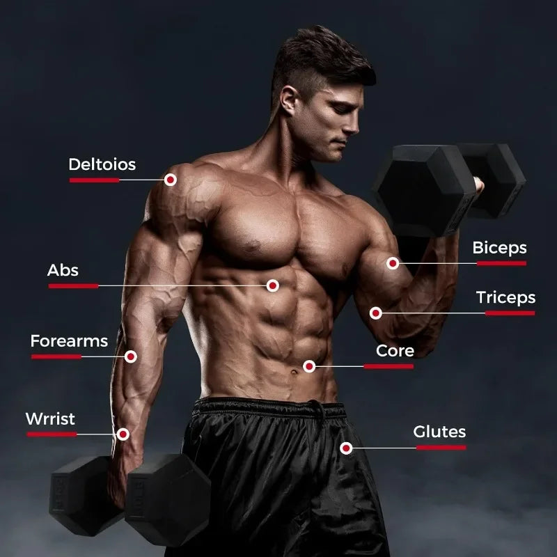 RitFit Rubber Hex Dumbbell Set With Rack 250-650 Lb